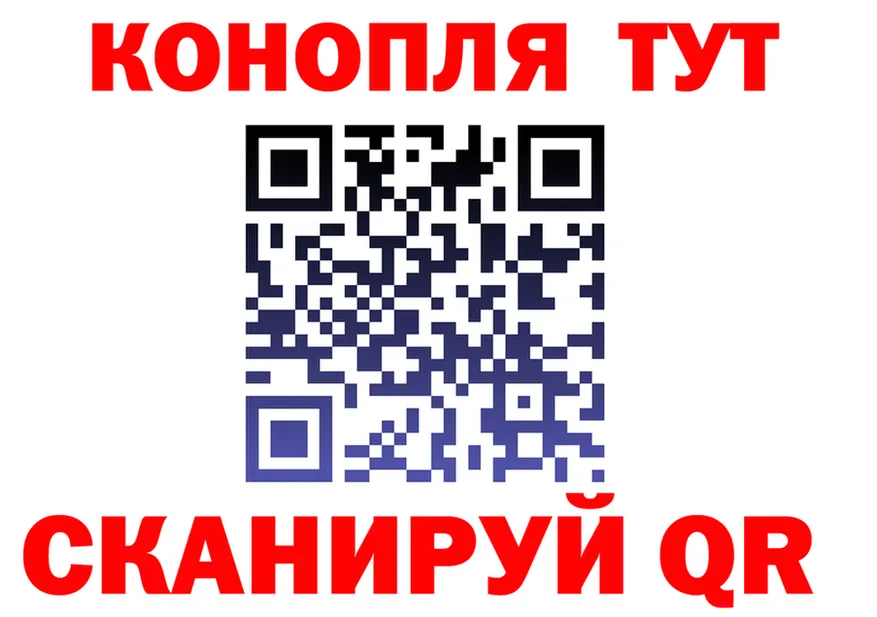 АМФ Premium ссылка площадка OMG Бийск