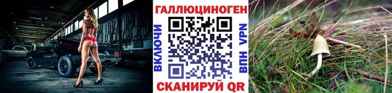 Галлюциногенные грибы Cubensis  цены   Бийск 